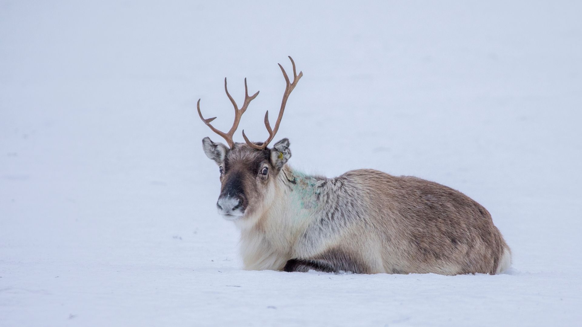 Activité en Haute-Savoie